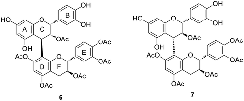 Fig. 8. Structures of lipophilic dimeric flavan-3-ol compounds 6 and 7.