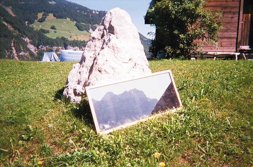 FIGURE 9. Reflection of the landscape. Source: Farmer 5