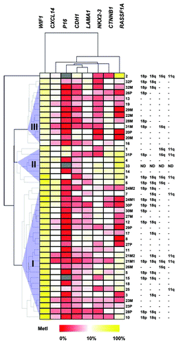 Figure 2. Unsupervised hierarchical clustering of Pyrosequencing data for genes that were found methylated in SI-NETs. MetI values of 0–100% were converted to a range of 0 to 1 and subjected to Euclidean hierarchical clustering. The three tumor clusters are indicated as I, II and III. Gray indicates lack of data. Previously publishedCitation15 data for copy number loss determined by qPCR for loci representing 11q (SDHD), 16q (CDH1), 18p (EMILIN2) and 18q (CDH19) in case 1–32 are indicated to the right for comparison.