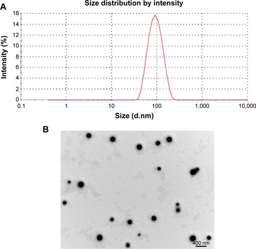 Figure 4 Characterization of Z-GP-Dox-loaded mixed micelles (ZGD-MNs).Notes: (A) Size measurement of ZGD-MNs. (B) Morphology of ZGD-MNs determined by transmission electron microscopy.Abbreviation: ZGD-MNs, Z-GP-Dox-loaded mixed nanomicelles; d, diameter; nm, nanometer.