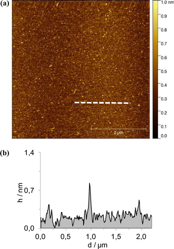 Figure 9. (Colour online) AFM height images in tapping mode (a) scale bar 2 μm with the profile of the white dashed line (b). Sample were prepared by spin-coating a solution of 1∙Zn in CHCl3 + MeOH.