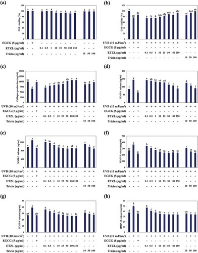 Figure 1. Effects of ETZL and tricin on collagen synthesis and the expressions of MMP family members in UVB-irradiated human dermal fibroblasts (HDFs). (a) Viability of HDFs treated with ETZL and tricin, (b) Cell viability of UVB exposed HDFs treated with ETZL and tricin, (c) Effects of ETZL and tricin on collagen synthesis, (d) MMP-1, (e) MMP-2, (f) MMP-3, (g) MMP-9, and (h) MMP-13 in UVB exposed HDFs. EGCG was used as a positive control. Results are expressed as means ± SD (% control) of three independent experiments. Values with different superscript letters are significantly different (p < 0.05) by Tukey’s multiple comparison test (n = 3).