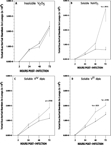 FIG. 4 Listeria (bacterial) burdens in the lung of rats at each day postinfection. (A) V2O5; (B) NaVO3; (C) VIV dipic; (D) VIII dipic regimens. Values shown with ◊ represent the mean (± SE) of n = 6, 8, and 10 rats at 24, 48, and 72 hr post-infection/V regimen, respectively; values indicated with λ represent mean (± SE) of n = 5 air control rats at same timepoints. Statistical significance (p value) of result (V vs. air)—when present—is indicated.