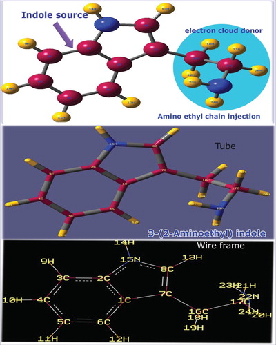 Figure 1. Molecular structure of 3-(2-aminoethyl) indole.