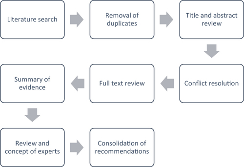 Figure 1 Flowchart for the literature review process and expert recommendations.
