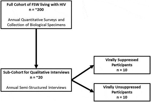 Figure 1. Overview of parent study sampling design.