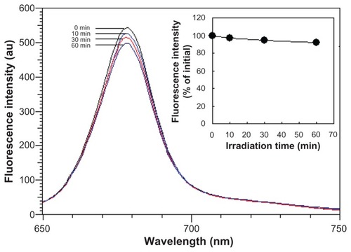 Figure 3 Photostability over time of water-dispersed liposome-coated chlorophyll nanocomposites with continuous excitation at 365 nm (insert, fluorescent intensity varying with excitation time).