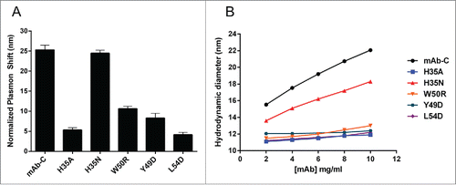 Figure 1. Single CDR mutations prevent mAb-C self-association. (A) AC-SINS analysis of self-association of mAb-C variants in PBS, pH 7.4. mAb-C exhibits high self-association in PBS (25 nm plasmon shift). Mutation of histidine 35 of the VH to alanine, but not asparagine, substantially decreases self-association. Mutation of tryptophan 50 of the VH to arginine, and tyrosine 49 and leucine 54 of the VL to aspartate, reduce self-association to varying extents. Plasmon shifts are normalized to the plasmon wavelength of each antibody incubated with control nanoparticles that lack anti-Fc capture antibody. (B) DLS determination of mAb-C variant hydrodynamic size as a function of concentration. The H35A, W50R, Y49D, and L54D mutations prevent mAb-C interaction at up to 10 mg/mL. H35N also decreases hydrodynamic size, but to a much lesser extent. Error bars indicate standard deviation of triplicate measurements.