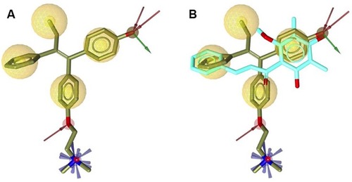 Figure 2 (A) Pharmacophore features of 4-OHT (yellow-colored sticks) in hERα (3ERT) and (B) in comparison with the docking pose of ChalcEA (cyan-colored sticks).