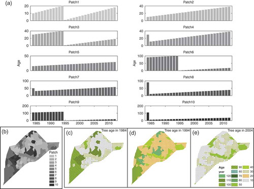 Fig. 7 (a) The rotation management represented by different practices on 10 patches: the bars show the tree age variation on each patch. (b) Patch location in the watershed; (c), (d) and (e) the tree age distribution before management practices in 1984, 1994, 2004, respectively.