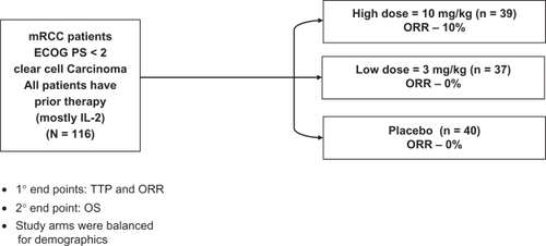 Figure 1 Study schema for phase 2 randomized trial of bevacizumab or placebo in patients with previously treated metastatic renal cell carcinoma. Drawn from data of Yang JC et al.Citation33Abbreviations: ORR, overall response rate; TTP, time to progression; OS, overall survival.