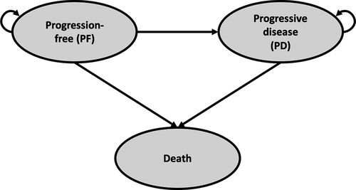 Figure 1. Schematic representation of the de novo model