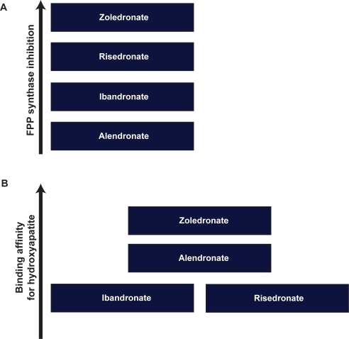 Figure 1 Compared with other bisphosphonates of the same generation, zoledronic acid has shown a higher inhibitory effect on farnesyl pyrophosphate synthase (FPP) (A) as well as higher affinity for hydroxyapatite in bones (B).