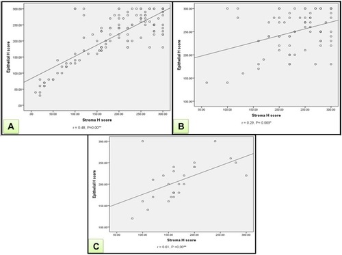 Figure 4 (A) A significant positive correlation between H score (epithelial & stromal) of ATG7 in all patients (r=+0.48, P=0.00). (B) A significant positive correlation between H score (epithelial & stromal) of ATG7 in BCC patients (r=+0.29, P=0.009). (C) A significant positive correlation between H score (epithelial & stromal) of ATG7 in SCC patients (r=+0.61, P=0.00).