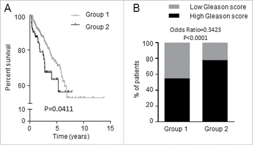 Figure 6. Expression of the 7 candidate genes was associated with shorter recurrence-free survival of PCa patients. TCGA data consisting of 497 PCa patients were dichotomized into Groups 1 and 2 by K-means clustering analysis based on the 7 candidate genes. (A) Group 1 patients have longer time to recurrence than Group 2 patients; the two groups differ in recurrence-free survival. (B) Proportion of PCa patients having tumors with high (≥7) and low (<7) Gleason score.