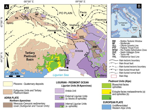 Figure 1. Regional structural sketch map (a) of the northwestern part of Northern Apennines and Ligurian Western Alps (modified from CitationBalestro, Festa, Dilek, & Tartarotti, Citation2015). (b) Location of Figure 1(a) (modified from CitationVezzani, Festa, & Ghisetti, Citation2010).