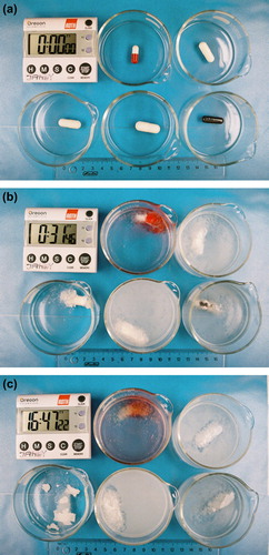 Figure 1. Photograph of CHMW-X0 capsules of various sizes in 0.1N HCl, at 37°C. The time is indicated by the clock (h:m:s). Upper left: Gelatin 1; Upper right: Gelatin 00; Lower left: HPMC 00; Lower middle: Gelatin 000; Lower right: Gelatin-0EL CS. (a) Outset of the experiment, (b): after 31m, (c) after 16h47m.