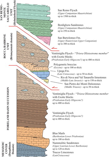 Figure 2. Simplified lithostratigraphic log of the successions cropping out in the study area (not to scale).