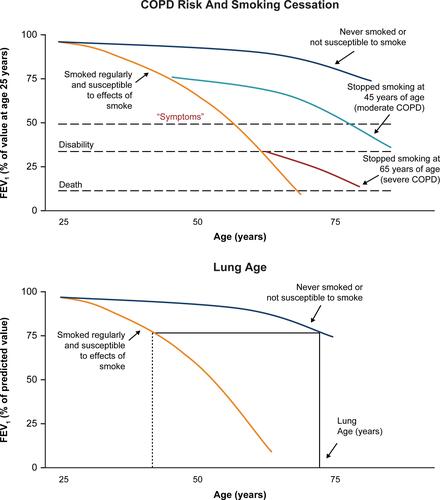 Figure 4 Effects of smoking on COPD risk and lung age.
