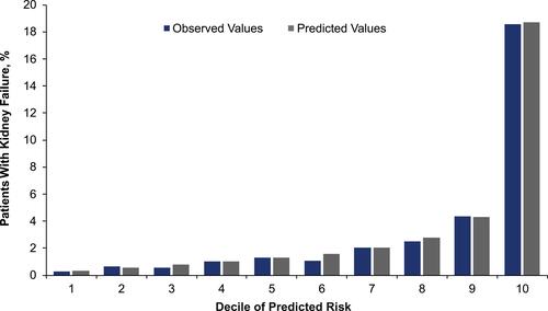 Figure 4 Calibration plot of observed vs predicted risk of kidney failure during follow-up period. Observed risk for kidney failure in the testing data within deciles of predictive risk strata. The predicted risk estimated by the model stratifies the population and yields estimates of the average risk of kidney failure (blue bar) within each decile (risk stratum). The estimates are compared to the actual (observed) probability of kidney failure in each decile (gray bar).