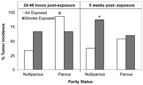 Figure 4.  Effects of cigarette smoke (CS) and parity status on EL4 cell-induced tumor incidence. *Significantly increased (p < 0.05) from time- and parity-matched air controls. #Significantly increased (p < 0.01) from time- and treatment-matched virgin mice. Tumor incidence calculated as ([Number of mice with palpable tumors/Number of mice injected with EL4 cells]) × 100; (n = 8–15 mice injected with EL4 cells/exposure group).