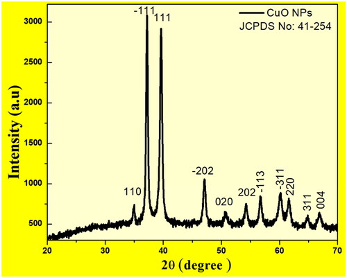 Figure 2. PXRD Patterns of CuO nanoparticle prepared by microwave method.