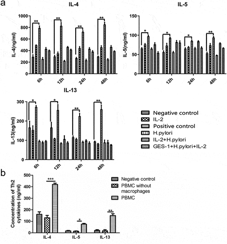 Figure 1. Macrophages were required in the activation of ILC2 induced by H. pylori infection. (a) ILC2 sorted out from PBMC were cocultured with H. pylori or together with GES-1. The IL-2 +IL-25 +IL-33 stimulating group was used as positive control. Elisa showed the level of Th2 cytokines (IL-4, IL-5, and IL-13) in the supernatants; (b) PBMC removing or remaining macrophages were cocultured with GES-1 and H. pylori ATCC43504 for 24 hours. The Th2 cytokines in the supernatants were detected by Elisa. p values were determined by one-way ANOVA, Dunnett-adjusted; error bars, SD (n = 3 per group); *p < .05, **p < .01, ***p < .001.