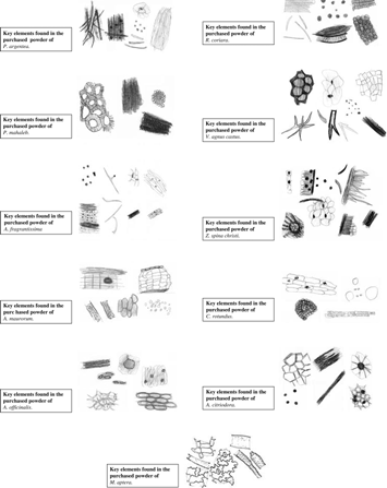 Figure 1. Key elements for the microscopic identification of 11 medicinal plants.