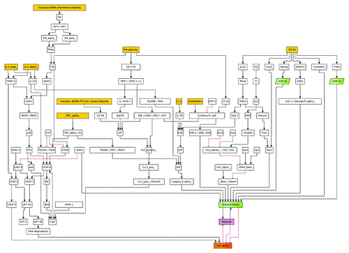 Figure 1. This figure depicts the general layout of the signaling model used to calculate the oncolytic virus effects on different types of canine cancers. In this model the apoptosis, MAPK, p53, WNT, Hedgehog, TK cell mediated cell death, IFN, and Interleukin signaling, as well as mitochondrial Ca2+- signaling are included. Yellow boxes denote the possible input signals for the models; green boxes denote genes with anti-apoptotic properties. The outcome of the model is given in the signaling strength of the purple (survival of cancer cell) and orange (apoptosis of cancer cell) boxes.