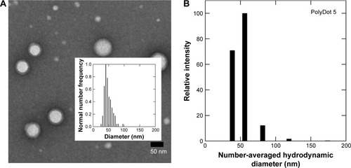Figure 1 Size characterization of PLGA/block copolymer hybrids (PolyDots) with PLGA: PS-b-PEO wt ratio =5. (A) TEM image of PolyDot 5 sample and inset: size distribution histogram based on TEM analysis. Mean diameter (TEM) =44±9 nm. (B) DLS number diameter plot of PolyDot 5 sample. Mean hydrodynamic diameter (DLS) =48±9 nm.Abbreviations: TEM, transmission electron microscopy; DLS, dynamic light scattering.