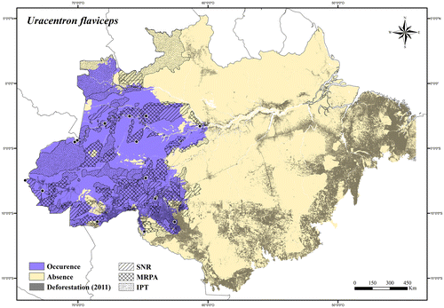 Figure 129. Occurrence area and records of Uracentron flaviceps in the Brazilian Amazonia, showing the overlap with protected and deforested areas.