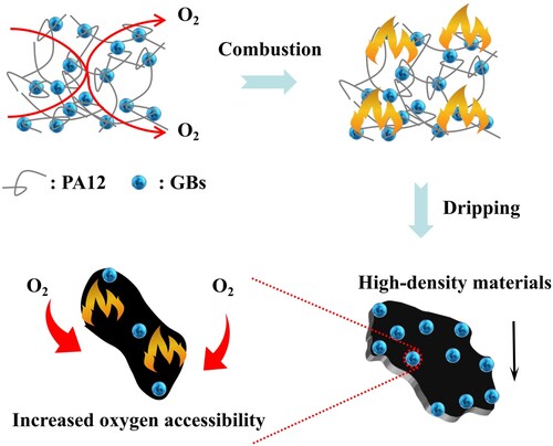 Figure 9. Schematic diagram of increased oxygen accessibility of the PA12/GBs composite during the combustion process in the air.