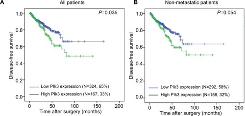 Figure 1 The disease-free survival rates of all patients and non-metastatic patients.Notes: (A) All patients (low Plk3 expression [N=324, 65%], high Plk3 expression [N=167, 33%]) and (B) non-metastatic patients (low Plk3 expression [N=292, 58%], high Plk3 expression [N=158, 32%]) with prostate cancer were compared according to low- and high-Plk3 status. Statistical significance was determined using the log-rank test.Abbreviation: Plk3, polo-like kinase 3.