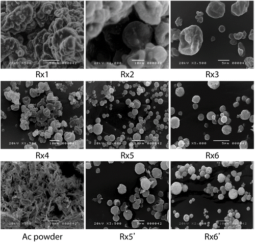 Figure 1.  Scanning electron micrographs of pure AC powder and six freshly prepared DE formulations containing AC. Rx5’ and Rx6’ indicate the Rx5 and Rx6 DE stored at 40°C with 75% relative humidity for 3 months. The composition of every formulation is listed in Table 2.