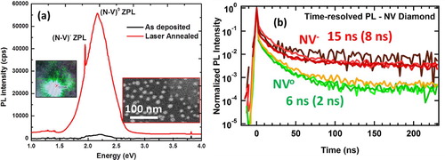 Figure 8. (a) PL of NV diamond at 300 K, and (b) time-resolved PL spectroscopy of NV diamond. The insets in (a) show SEM image and PL emission (at 532 nm excitation) of NV diamonds.