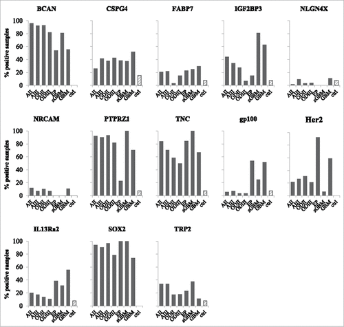 Figure 3. Proportion of positive samples for the tested antigens. Percentage of samples positive for BCAN, CSPG4, FABP7, IGF2BP3, NLGN4X, NRCAM, PTPRZ1, TNC, gp100, Her2, IL13Rα2, SOX2 and TRP2, determined as mRNA counts > mean mRNA counts for non-tumor samples + 2 standard deviations. AII: grade II astrocytoma, AIII: grade III astrocytoma, ODII: grade II oligodendroglioma, ODIII: grade III oligodendroglioma, EP: ependymoma, sGBM: secondary GBM, ctrl: non-tumor samples (hatched bars).