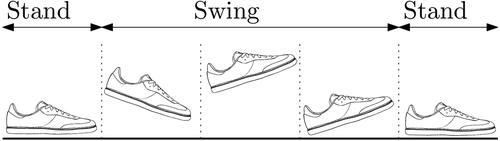 Figure 1. Progression of step phases.