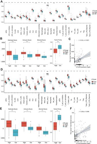 Figure 2 CTLA4 plays a key role in TME. Differences in the level of TIICs, three different scores, and tumor purity based on ssGSEA algorithm between high- and low-CTLA4 groups in TCGA GBM cohort (A and B) and in CGGA GBM cohort (D and E). Correlations between CTLA4 and the pan-cancer T cell inflamed score in TCGA GBM cohort (C) and in CGGA GBM cohort (F). **P < 0.01, ***P < 0.001, ns non-significant.