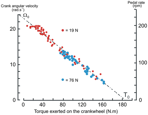 Figure 14. Relationship between the computed torque exerted on the crankwheel and crank angular speed (or pedal rate) during all-out sprints against two loads (19 N red points and 76 N blue points) in the same subject.