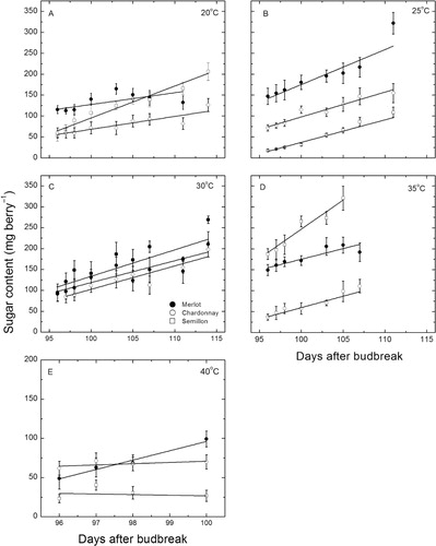 Figure 4 Changes in berry sugar accumulation (mean ± SE, n = 12–15) during exposure to different temperature treatments for each of three cultivars as indicated. A, 20/14 °C; B, 25/17.5 °C; C, 30/21 °C; D, 35/24.5 °C; E, 40/28 °C day/night temperatures. The lines are fitted linear regressions to each data set. See the text for an explanation of the statistical significance of each line. Note the change in scale of the x axis of graph E.