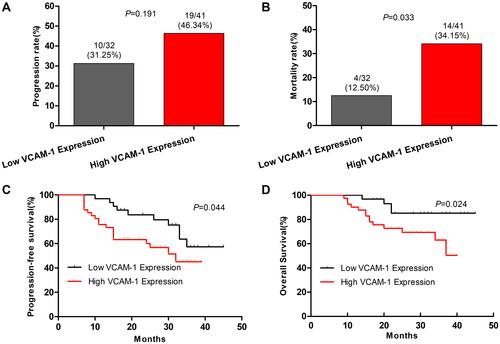 Figure 3 Stratification analyses of the survival of patients with NPC. All of the NPC patients were stratified according to VCAM-1 level, and their NPC relapse and mortality were calculated. Subsequently, the RFS and OS periods of individual groups of patients were estimated by the Kaplan-Meier method and analyzed by the Log rank test. (A) The percentages of progression. (B) The percentages of mortality. (C) The percentages of PFS in different groups of patients with NPC throughout the observation period. (D) The percentages of OS in the different groups of patients with NPC throughout the observation period.