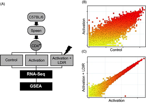 Figure 1. (A) Overview of transcriptome analysis and GSEA for identification of LDIR-impacted genes in CD4+ cells undergoing activation. (B) Scatter-plots: differential expression pattern between untreated (control) and anti-CD3/CD28-stimulated (Activation) cells, or (C) unirradiated/anti-CD3/CD28-stimulated (Activation) and LDIR/anti-CD3/CD28-stimulated (Activation + LDIR) cells.