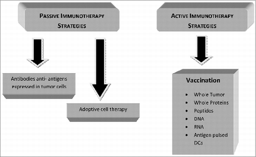 Figure 1. Diagrammatic representation of most immune treatment strategies under investigation in pancreatic cancer.