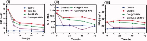 Figure 6. The quantitative observations of (i) CRP in treated animal serum to indicate the level of inflammation occurred and markers of (ii) IL-4 and (iii) INF-β which specified the inflammatory cytokine in the serum after treatment of control, CS NPs, Cur@CS NPs, and Amp/Cur@CS NPs samples.