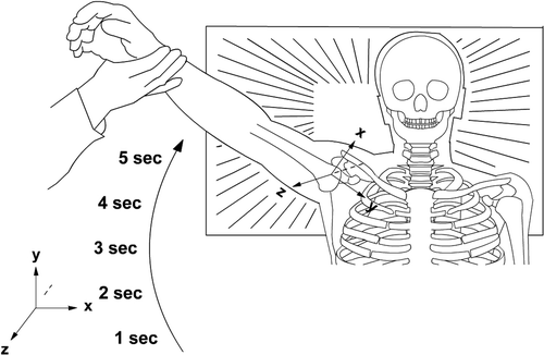 Figure 2. During motion the two body-fixed coordinate systems follow the motion of the bones which is illustrated here with changed position of the humeral coordinate system.