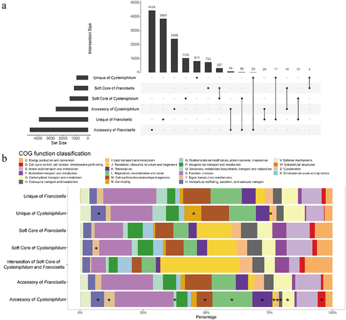 Figure 5. Union analysis of pan-genome of Cysteiniphilum and Francisella genus. (A) Horizontal bars indicate the number of soft-core, accessory and unique orthogroups of Cysteiniphilum and Francisella genus. Vertical bars represent the number of these six sets of orthogroups and their shared orthogroups. (B) Distribution of COG function category for each set of orthogroups in (A).