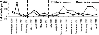 Figure 1 Seasonal dynamics of total crustacean and total rotifer abundances in Upper Karori Reservoir. The vertical dashed lines indicate timings of, left to right, trout removal and estimated entry of galaxiid larvae into the reservoir.