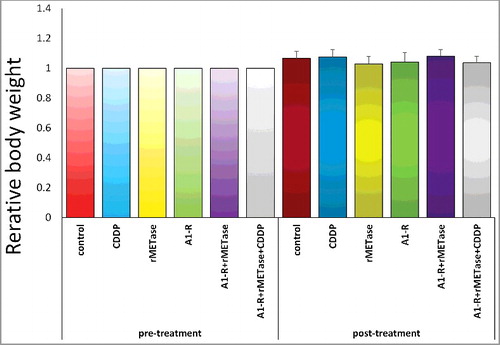 Figure 5. Effect of treatments on osteosarcoma lung metastasis PDOX on mouse body weight. Bar graph shows relative body weight in each treatment group at pre- and post-treatment relative to initial body weight. There were no significant differences between any of the treatment groups or the untreated groups.