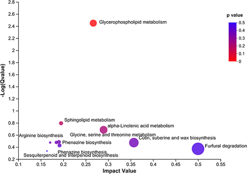 Figure 4 Pathway impact in topology analysis. The size and color of each circle were based on the pathway impact value and P-value, respectively.