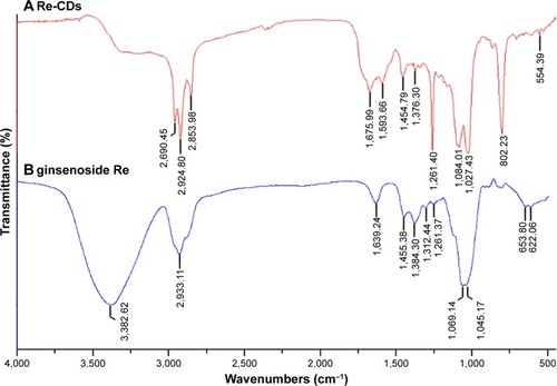 Figure 2 The FT-IR spectra of the (A) as-prepared Re-CDs and (B) ginsenoside Re.Abbreviations: FT-IR, Fourier transform infrared; Re-CDs, Re-based carbon dots.